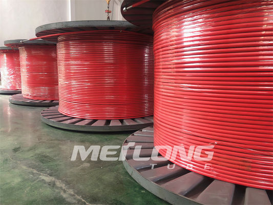 10000Psi Encapsulated Control Line Duplex 2507 FEP