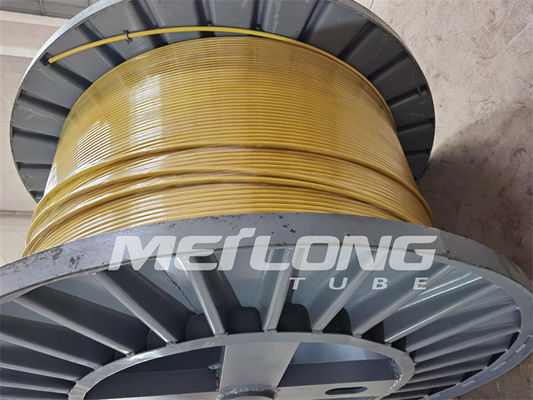 PVDF Encapsulated Control Line Duplex Stainless Steel Capillary Tubing