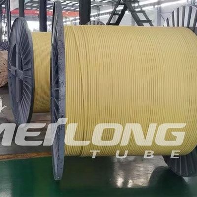 TP316L PVDF Encapsulated Control Line Flatpack With Two Tubes  High Pressure
