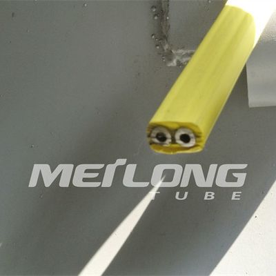 TP316L PVDF Encapsulated Control Line Flatpack With Two Tubes  High Pressure