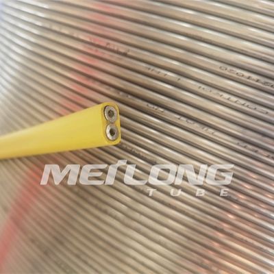 TP316L PVDF Encapsulated Control Line Flatpack With Two Tubes  High Pressure